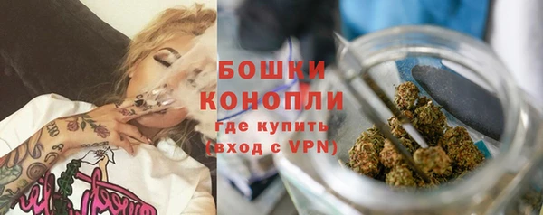 PSILOCYBIN Переславль-Залесский