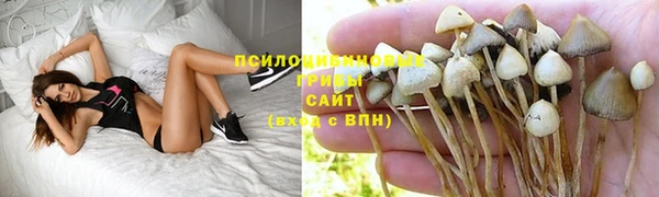 не бодяженный Пересвет