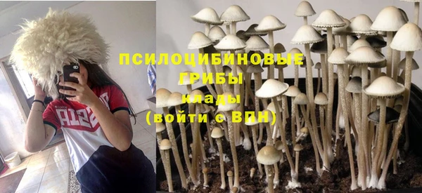 Альфа ПВП Осташков