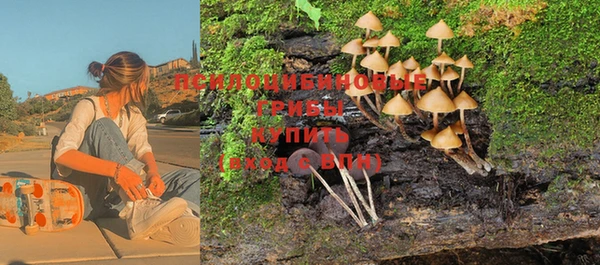 Альфа ПВП Осташков