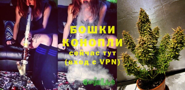 PSILOCYBIN Переславль-Залесский