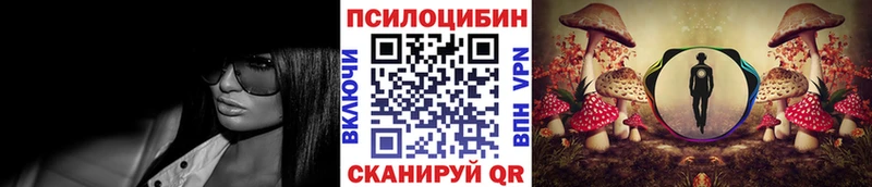 нарко площадка Telegram  Тавда  Псилоцибиновые грибы MAGIC MUSHROOMS 