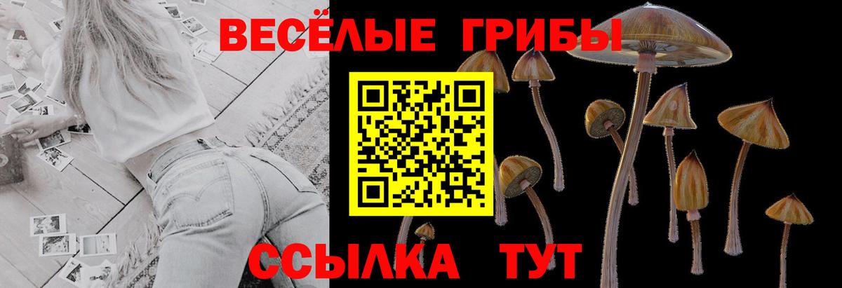 Тавда  даркнет сайт  Вход с VPN  Галлюциногенные грибы мухоморы 